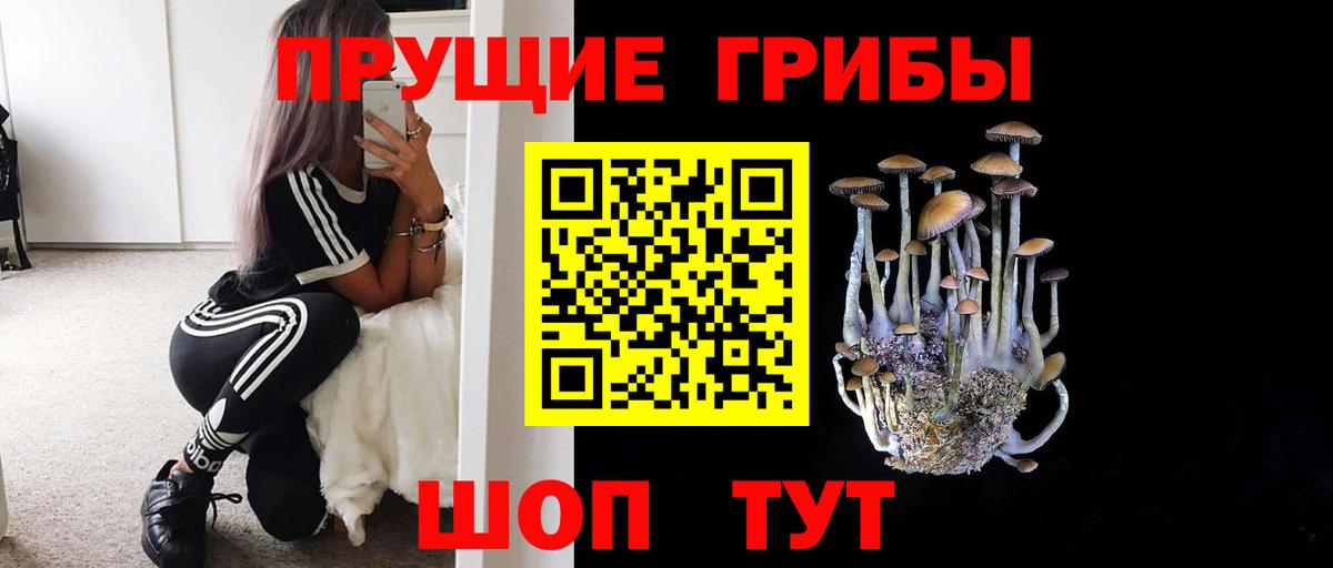 Галлюциногенные грибы GOLDEN TEACHER Октябрьский